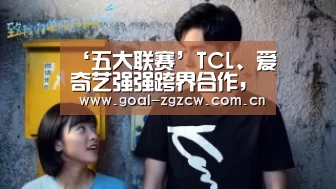 ‘五大联赛’TCL、爱奇艺强强跨界合作,TV+开创互联网化新模式(图2) 世界杯