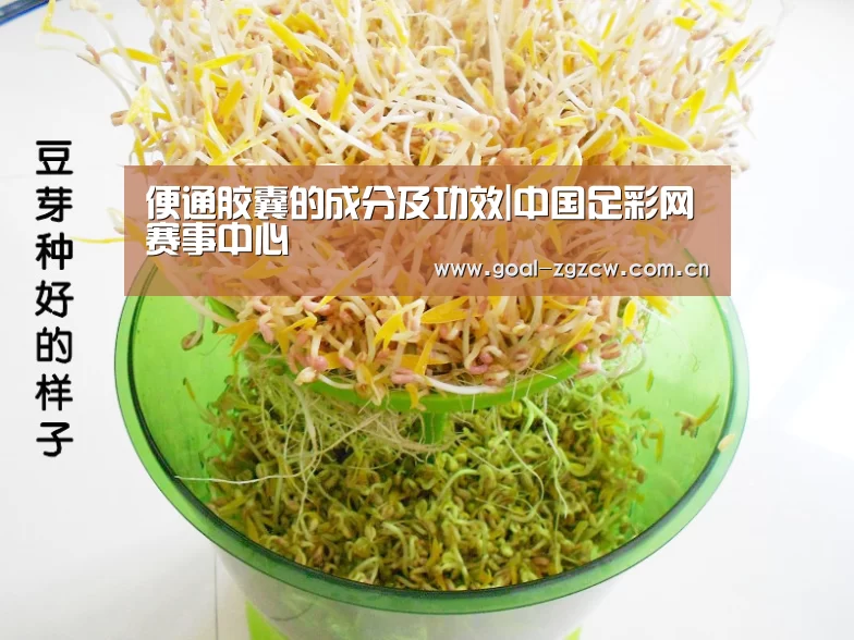 便通胶囊的成分及功效|中国足彩网赛事中心(图3) 欧洲杯