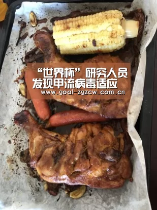 “世界杯”研究人员发现甲流病毒适应人体原因(图1) 世界杯